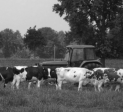 Home 1 agriculture